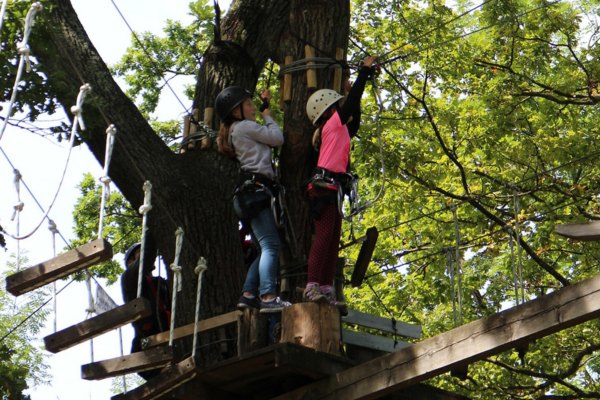 Accrobranche dans les Landes